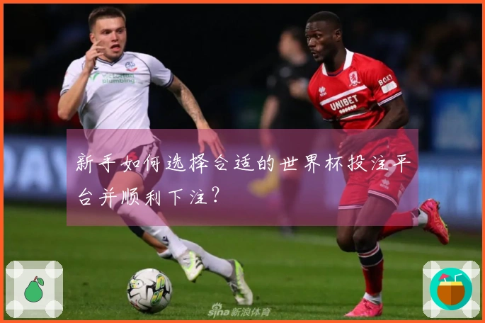 新手如何选择合适的世界杯投注平台并顺利下注?