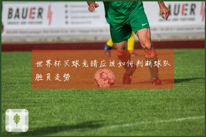 世界杯买球竞猜应该如何判断球队胜负走势