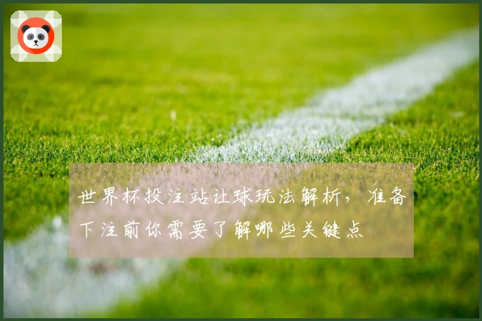 世界杯投注站让球玩法解析，准备下注前你需要了解哪些关键点