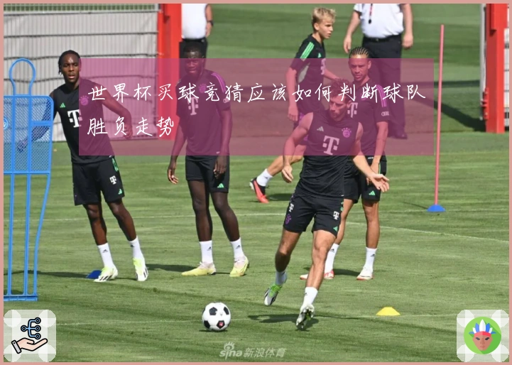 世界杯买球竞猜应该如何判断球队胜负走势