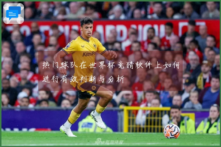 热门球队在世界杯竞猜软件上如何进行有效判断与分析
