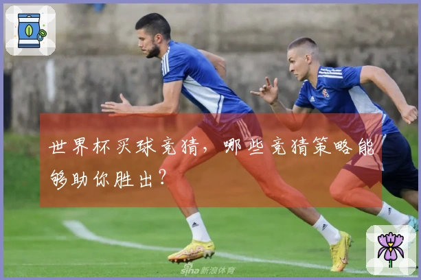 世界杯买球竞猜，哪些竞猜策略能够助你胜出？